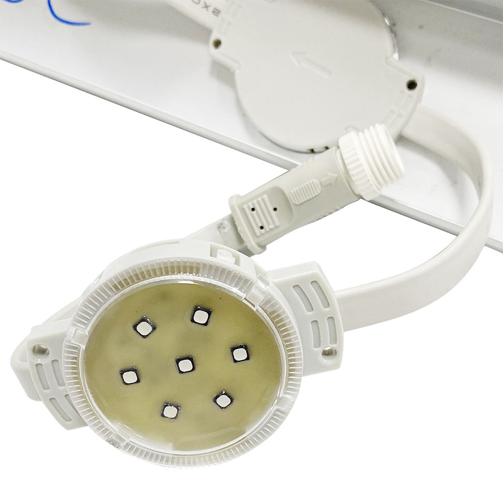 宝运莱·(中国区)最新官方网站